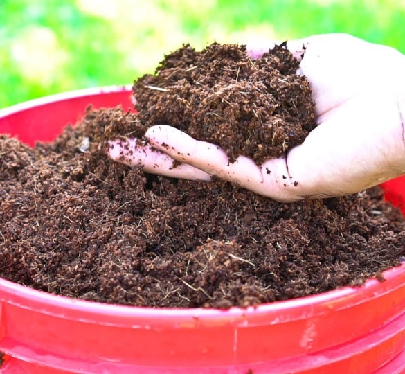 Ana Growers product preparation