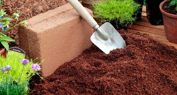 Coco Peat