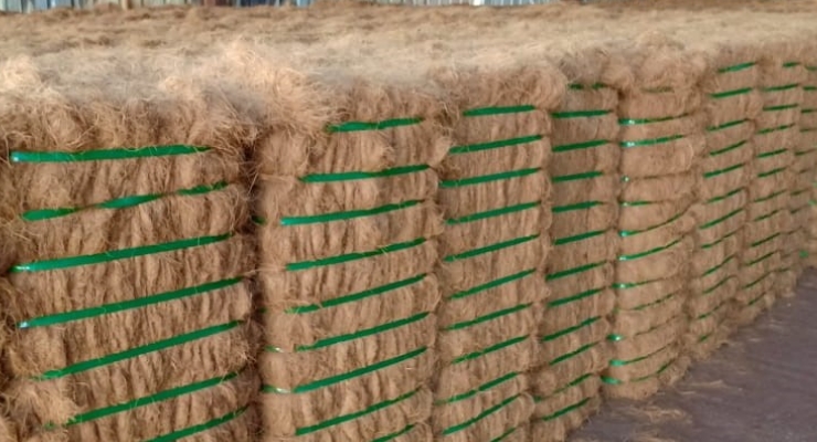 Coco Fibre