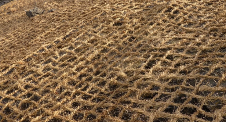 Coir Geotextiles